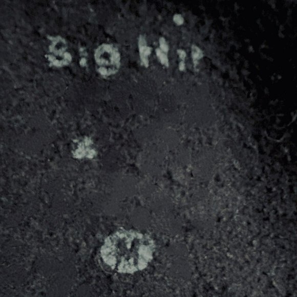 BTS Bangtan South Korean Boy Band Hoodie Womens M 2019 Rose Bowl Stadium Concert - Picture 5 of 5